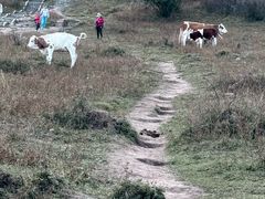 -灵山