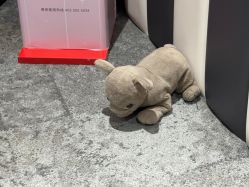 -奈尔宝·儿童乐园·亲子餐厅(前滩店)