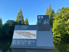 -鲁镇