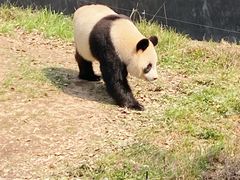 -宁波野生动物园