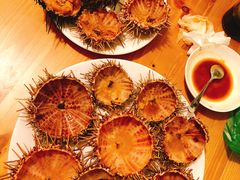 -海胆小馆(东北水饺·春柳店)