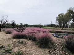 -东郊湿地公园