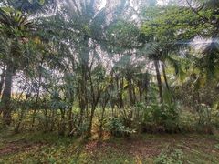 -白沙门生态公园