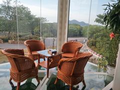 -汤山温泉房车营地 茶温泉