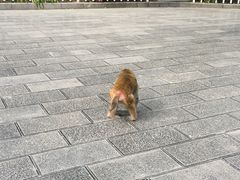 -黔灵山公园-南门售票处