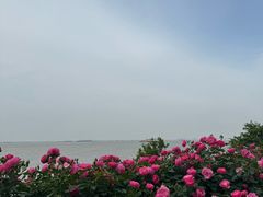 -上海滨江森林公园