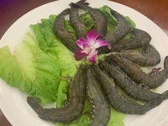 -许鲜生健康生活馆·精细潮菜(奥绅体育公园店)