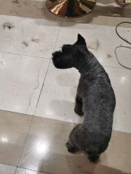 -Hello Lady发型设计