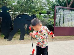 -杭州湾海上花田景区