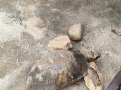 -厦门园林博览苑