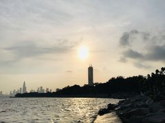 -深圳湾公园(南山区)