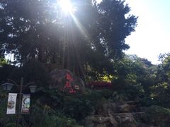 -乌山风景区