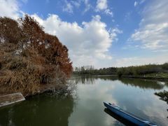 -上海海湾国家森林公园