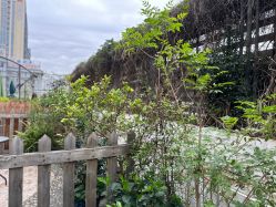 -爱贝乐妈咪月子中心