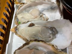 生蚝-邹开喜·炭炉鸡煲·海鲜火锅(虹口足球场店)