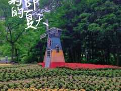 -上海共青森林公园