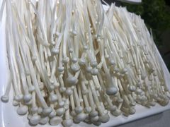 -古乐牛香·鲜牛肉牛杂火锅(新区店)