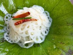 -丹江渔村(望京店)