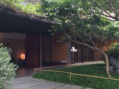 -微热山丘(台北民生公园门市店)