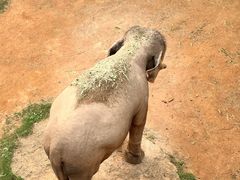 -广州长隆野生动物世界