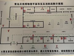 -青岛贝壳博物馆
