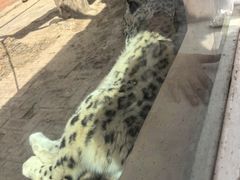 -青藏高原野生动物园