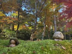 -三千院