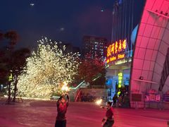 -灵玲国际马戏城