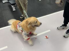 -EASY POWER健身工作室(浦东大道店)