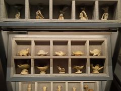 -四川大学博物馆