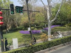 -九华山公园