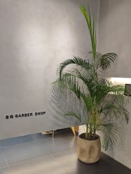 -老肖男士理发店