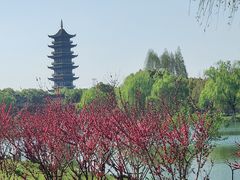 -乌镇景区