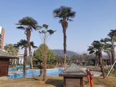 -洪湖悦兮半岛国际温泉度假村