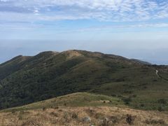 -罗浮山·罗园农庄