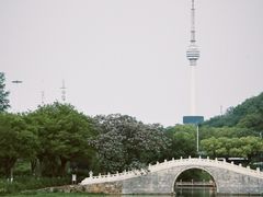 -月湖风景区