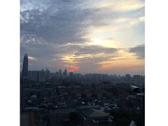 -梧桐餐厅(泉城路店)