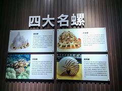 -贝壳王国博物馆