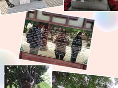 -广东圆玄道观