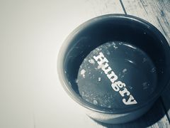 -百好乐宠物友好餐厅(朝外大街店)