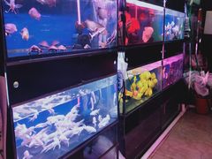 -长宁东道花卉宠物市场