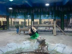 -栾川竹海野生动物园