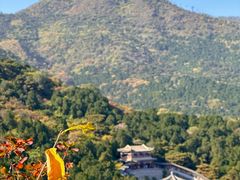-香山公园