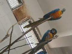 -西安秦岭野生动物园