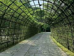 -常德桃花源景区