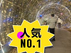 -大塘金香草谷