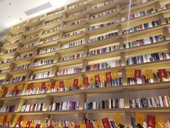 -深影国际影城(学院南路店CGS中国巨幕店)