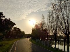 -艾溪湖湿地公园