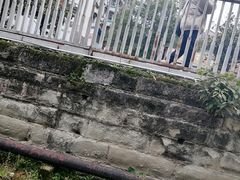 -约翰·菲茨杰拉德·肯尼迪国际机场