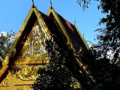 -西双版纳勐泐文化旅游区